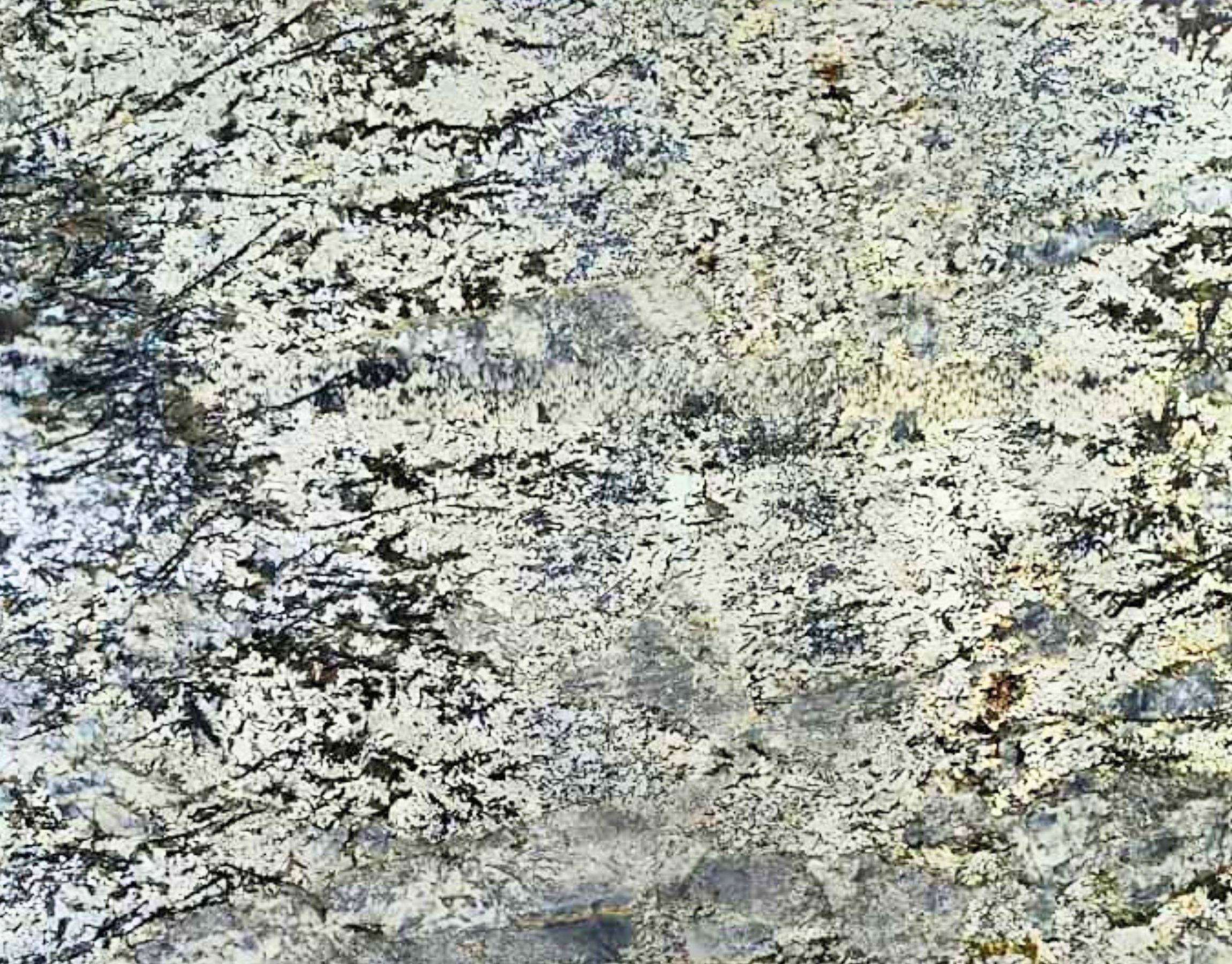Bianco Antico Quartzite